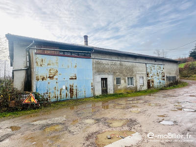 Local d'activités - 937 m²