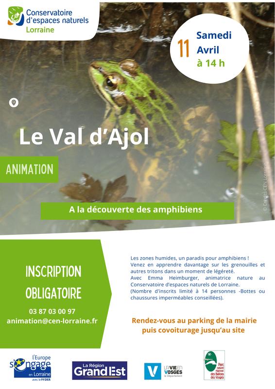 A la découverte des amphibiens