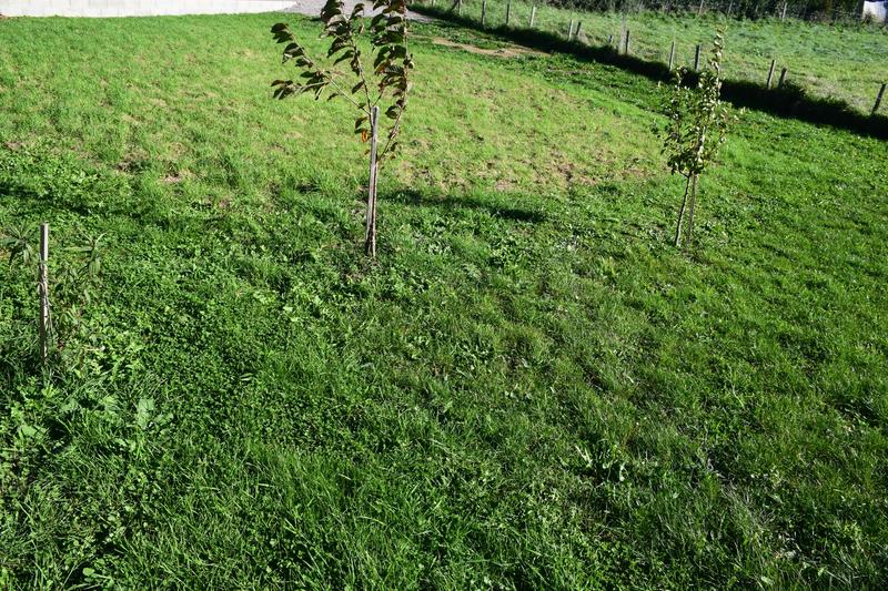 Terrain constructible - 496 m²