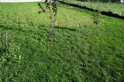 Terrain constructible - 496 m²