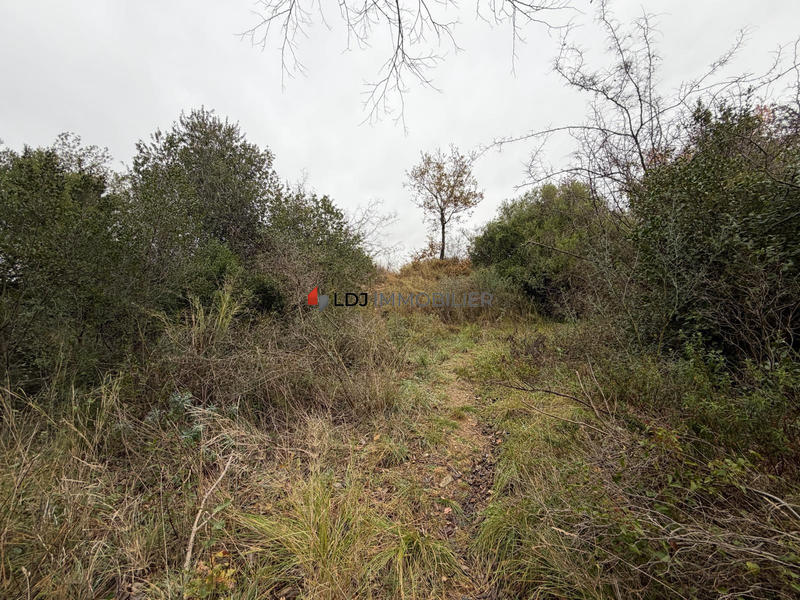 Terrain agricole - 17 246 m²