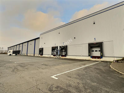 Local d'activité / Entrepôt - 11 420 m²
