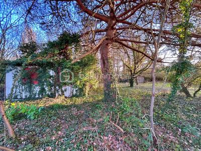 Terrain de loisirs - 1 416 m²