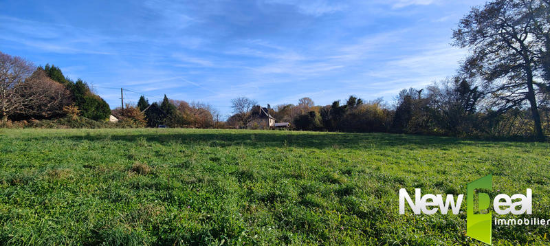 Terrain constructible - 9 000 m²