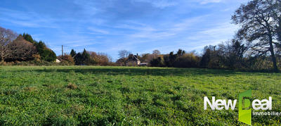 Terrain constructible - 9 000 m²