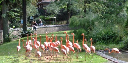 Ménagerie et Grandes Serres du Jardin des Plantes