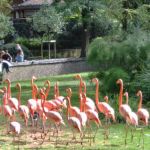 Ménagerie et Grandes Serres du Jardin des Plantes