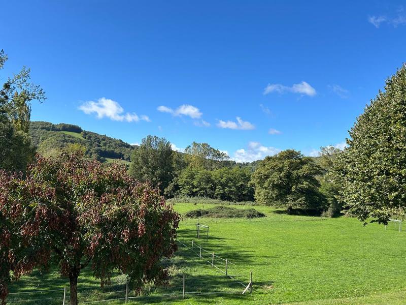 Appartement - 38 m² - 3 pièces