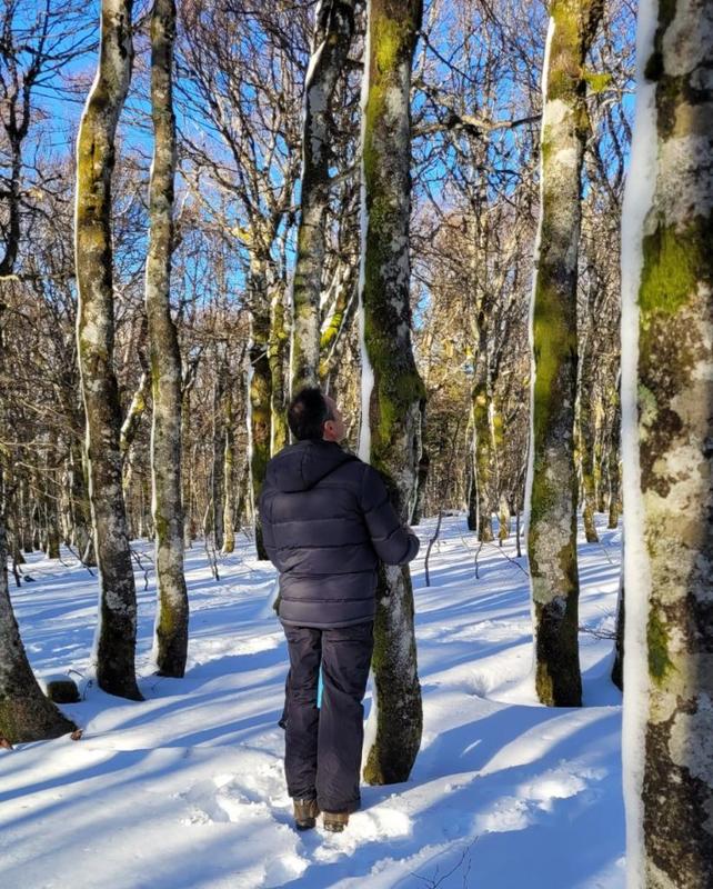 Bain de forêt hivernal et sophrologie