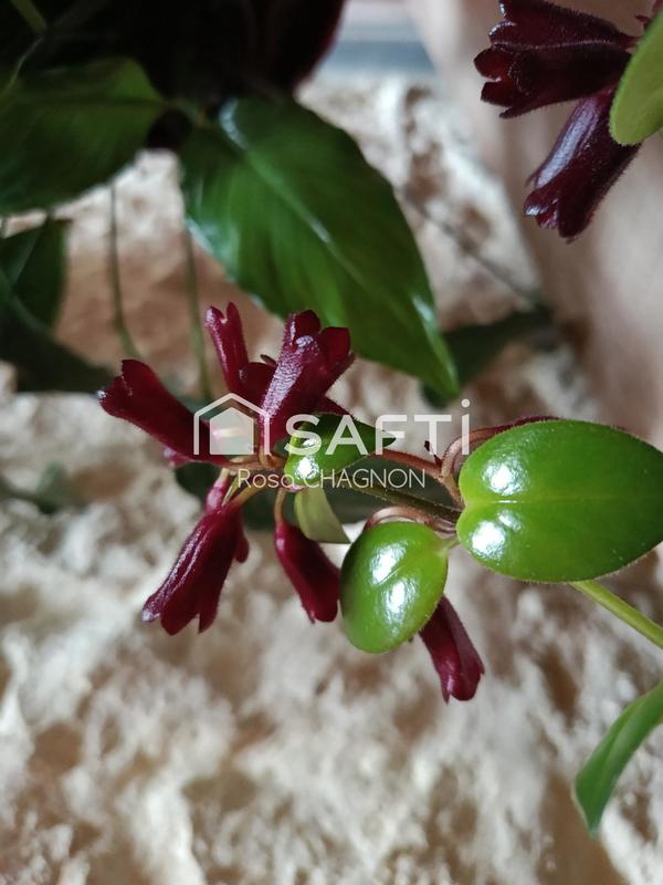 Maison - 85 m² - 3 pièces