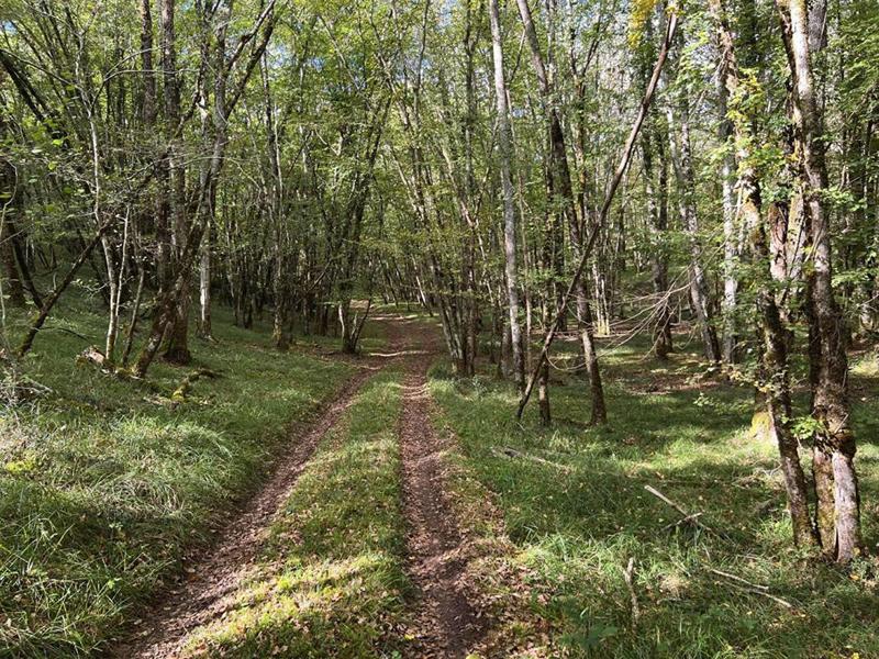 Propriété - 150 m² - 5 pièces