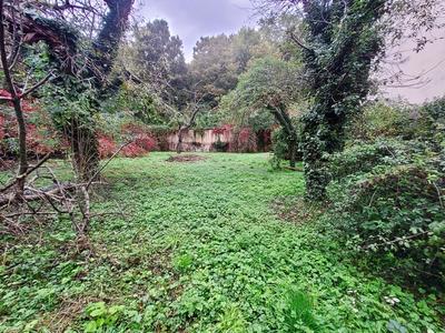 Local commercial - 1 024 m² - 1 pièce