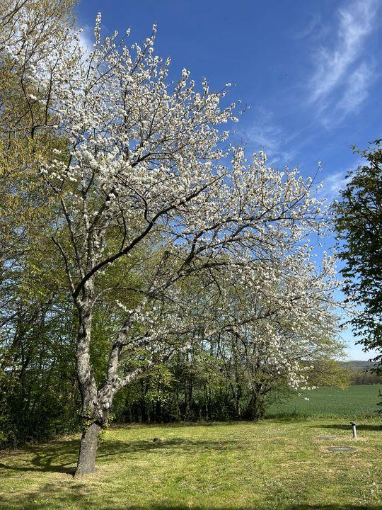 Propriété - 191 m² - 16 pièces