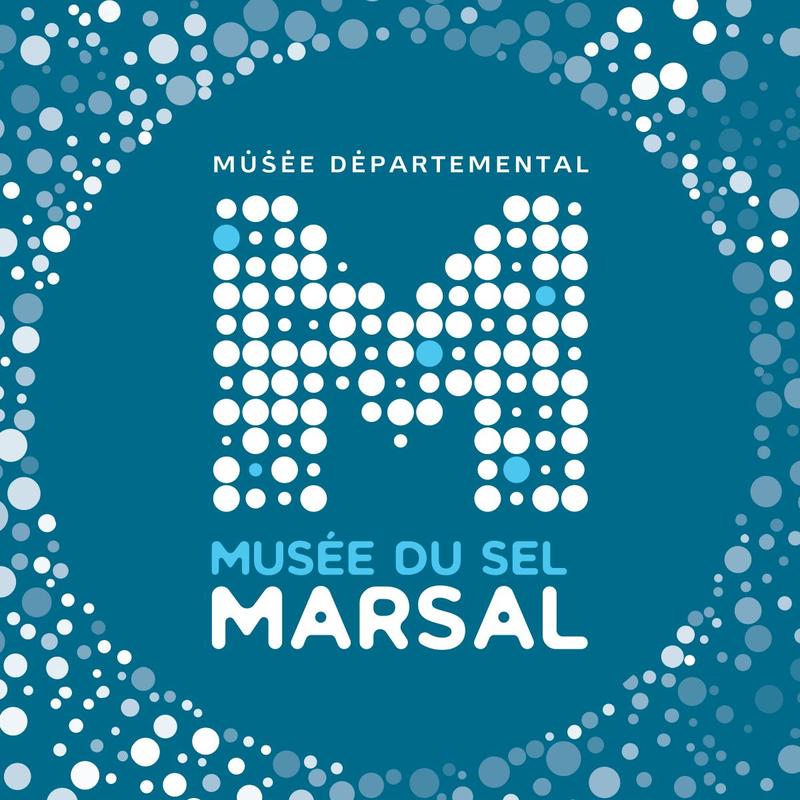 Compétition d’aviron : 100 km ramés !