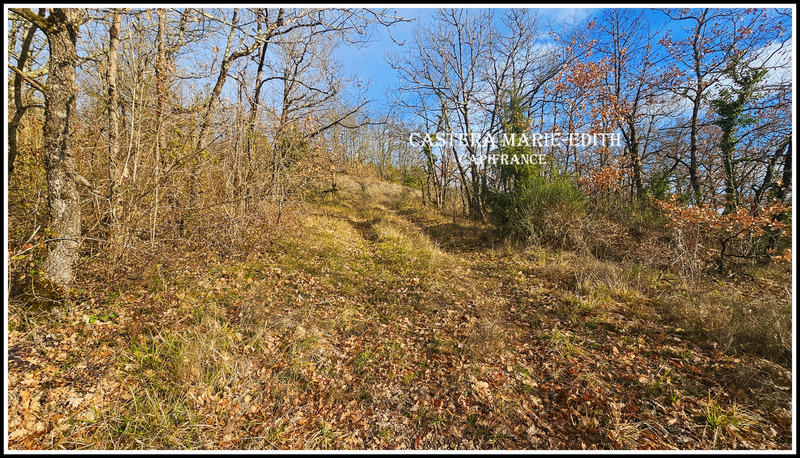 Terrain constructible - 9 886 m²