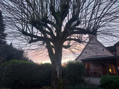 Maison - 156 m² - 5 pièces