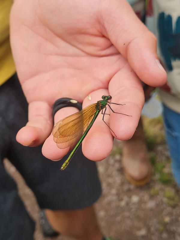 Balade sensorielle du marais de la vallée de l’Aure.