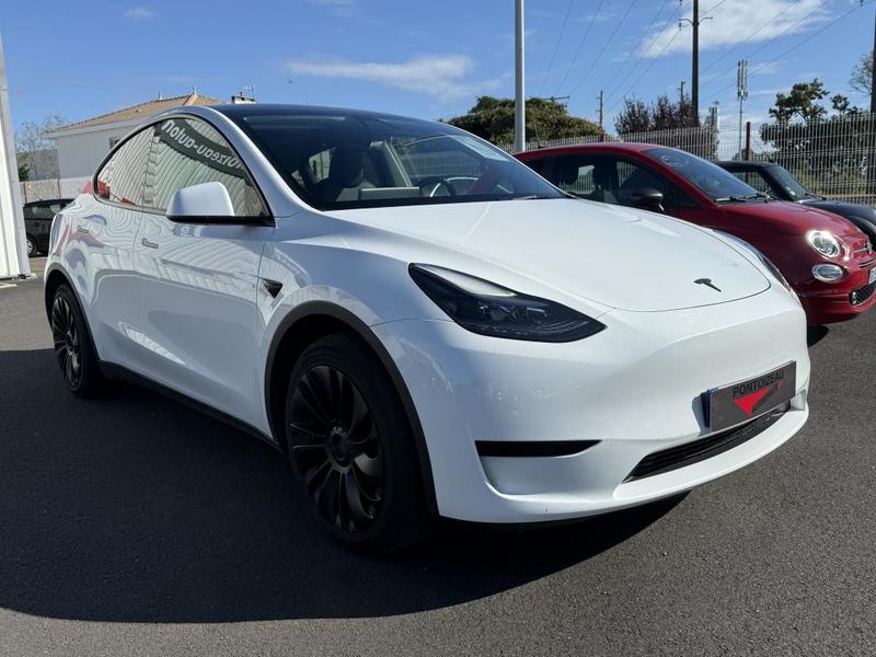 Tesla Model y 300