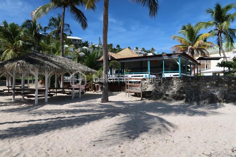 Studio - 30 m² - 1 pièce