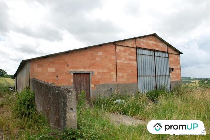 Terrain agricole - 5 800 m²