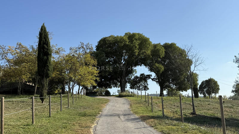 Mas - 597 m² - 22 pièces