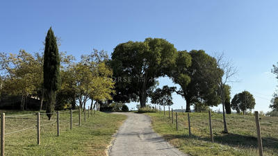 Mas - 597 m² - 22 pièces