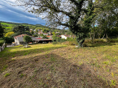 Terrain - 965 m²