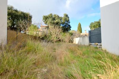 Terrain - 269 m²