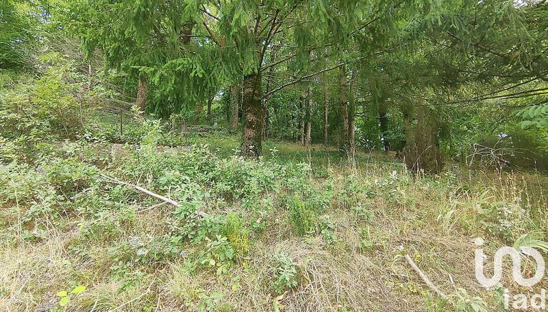 Maison de village - 45 m² - 3 pièces