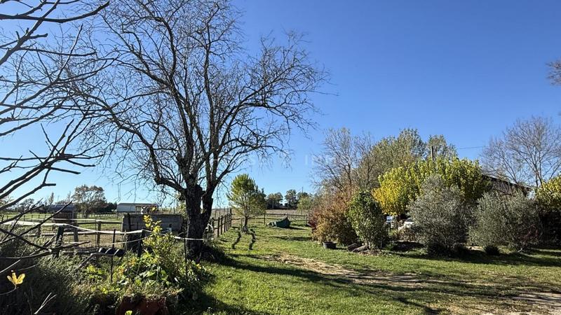 Mas - 210 m² - 6 pièces