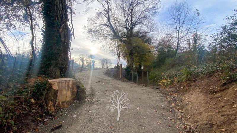 Terrain constructible - 3 923 m²