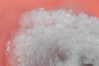 Exposition &quot;Avec ou sans sel ?&quot;