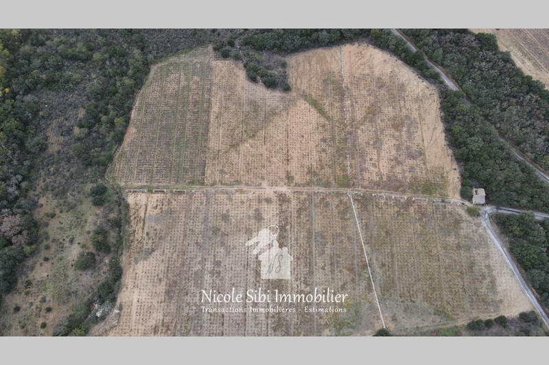 Terrain agricole - 29 300 m²