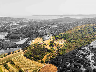 Maison - 500 m² - 15 pièces