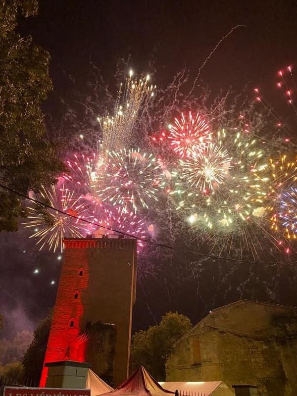 Fête du Vin et de la Gastronomie (Foire aux Vins)