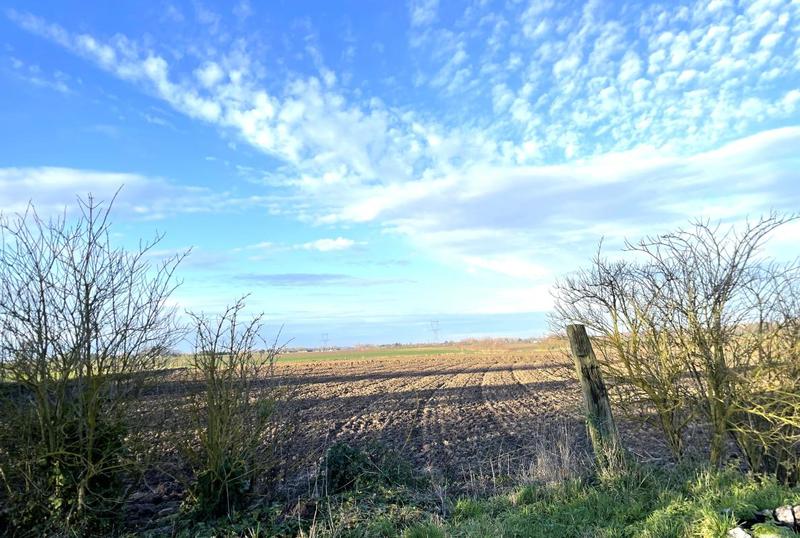 Terrain constructible - 919 m²