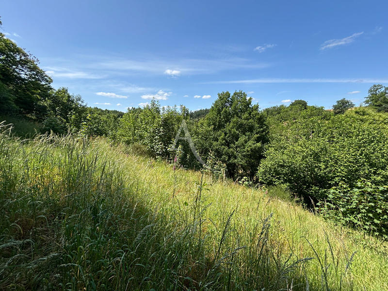 Terrain de loisirs - 2 498 m²