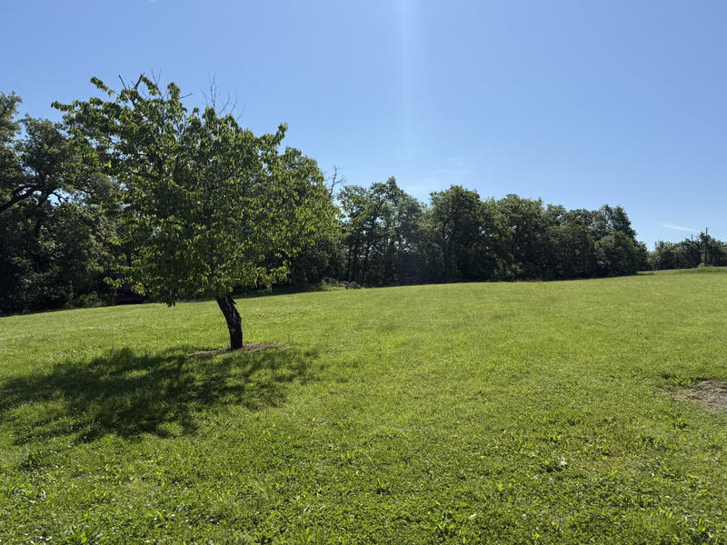 Maison - 250 m² - 8 pièces