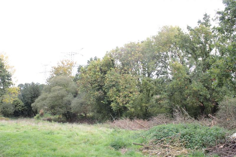 Maison - 50 m² - 1 pièce