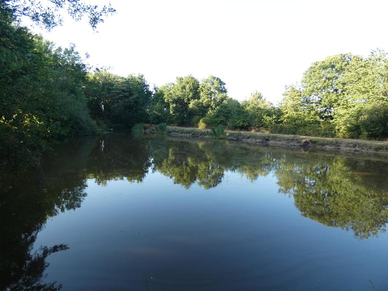 Terrain de loisirs - 11 460 m²