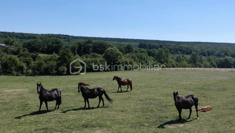 Propriété - 230 m² - 7 pièces