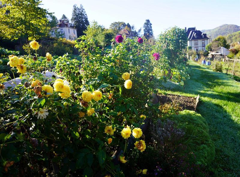 Visite guidée : les jardins de Sainte-Marie