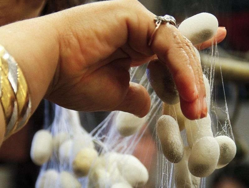 La Soie Avant les Filatures