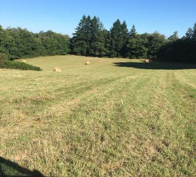 Corps de ferme - 110 m² - 5 pièces