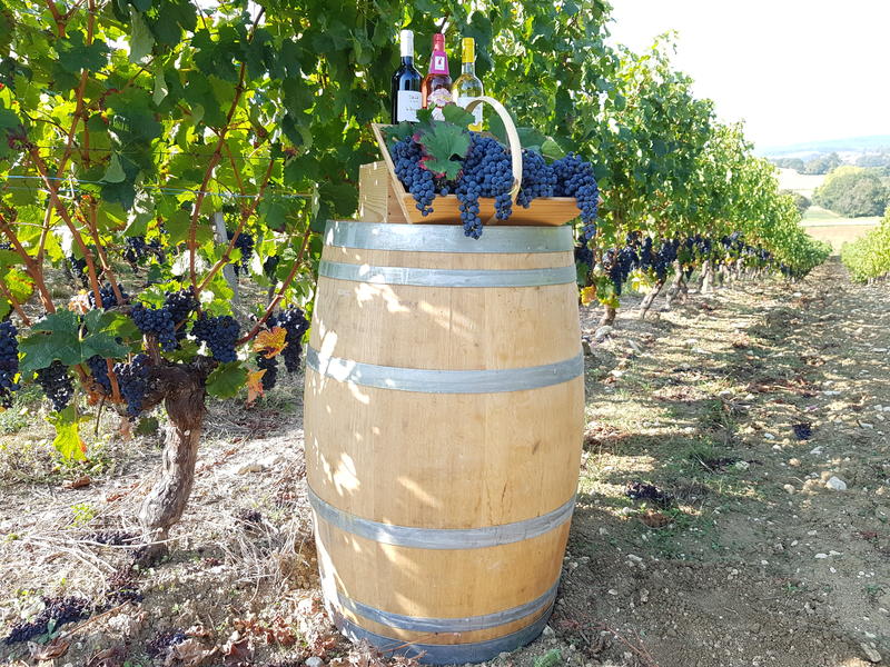 Domaine de Cauquelle