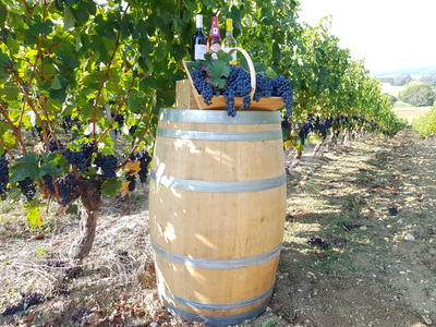 Domaine de Cauquelle