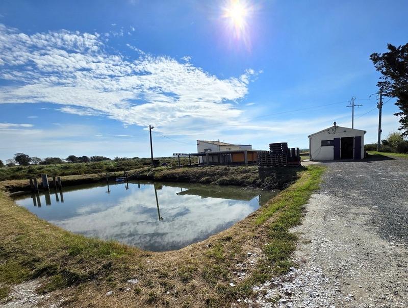 Fonds de commerce - 75 m²