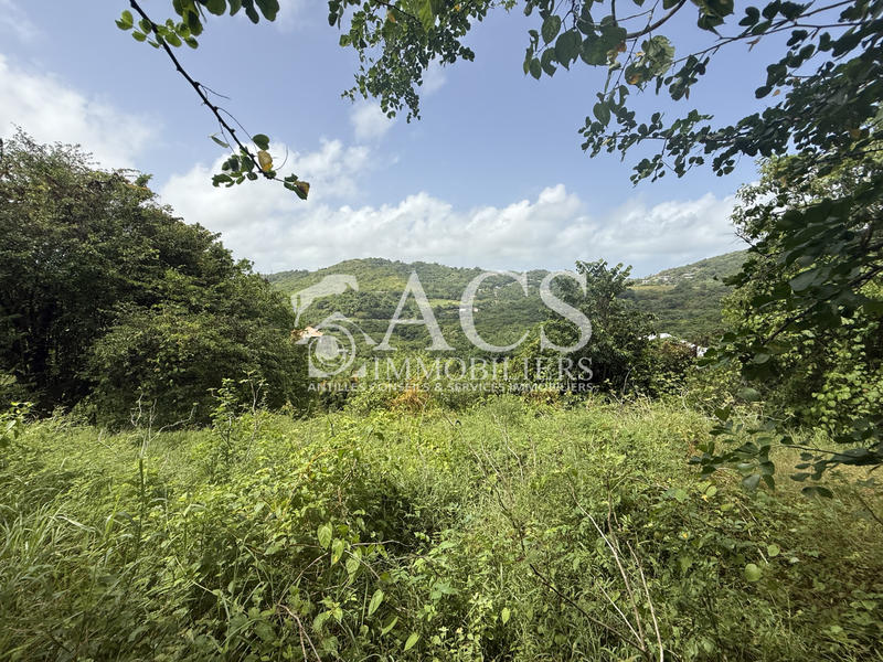 Terrain - 3 361 m²