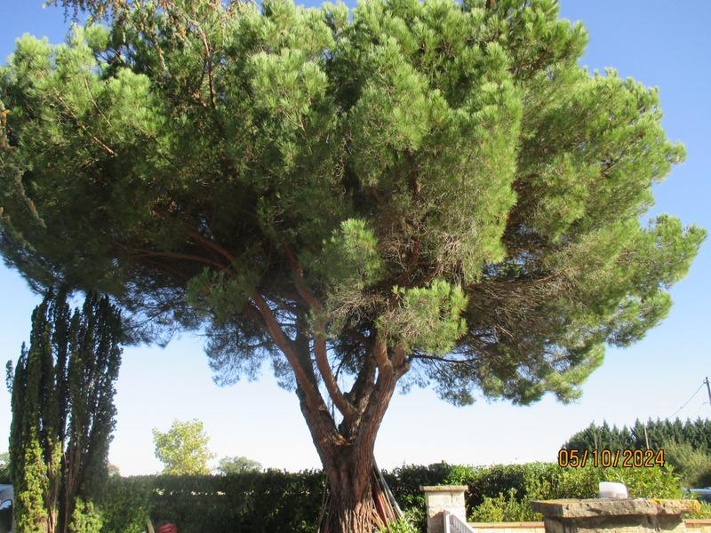 Maison - 186 m² - 8 pièces