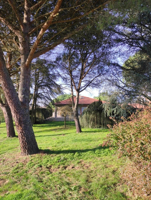 Propriété - 228 m² - 6 pièces